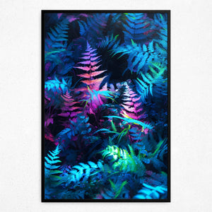 Radiant Tropics (Framed Poster)